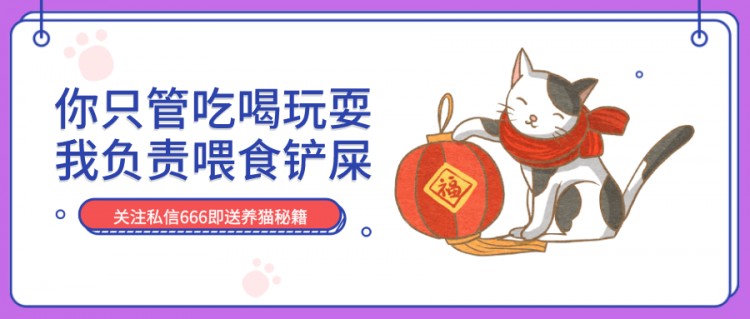 天气骤降！北方的猫：我们有暖气！南方的猫：我们有一身正气