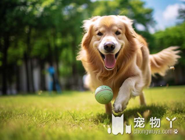 Paw Space有什么特别的社交活动吗?